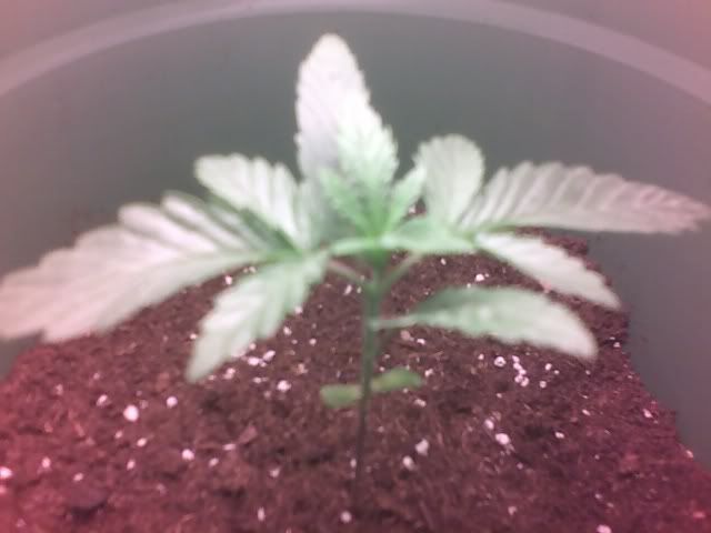 week3pic.jpg