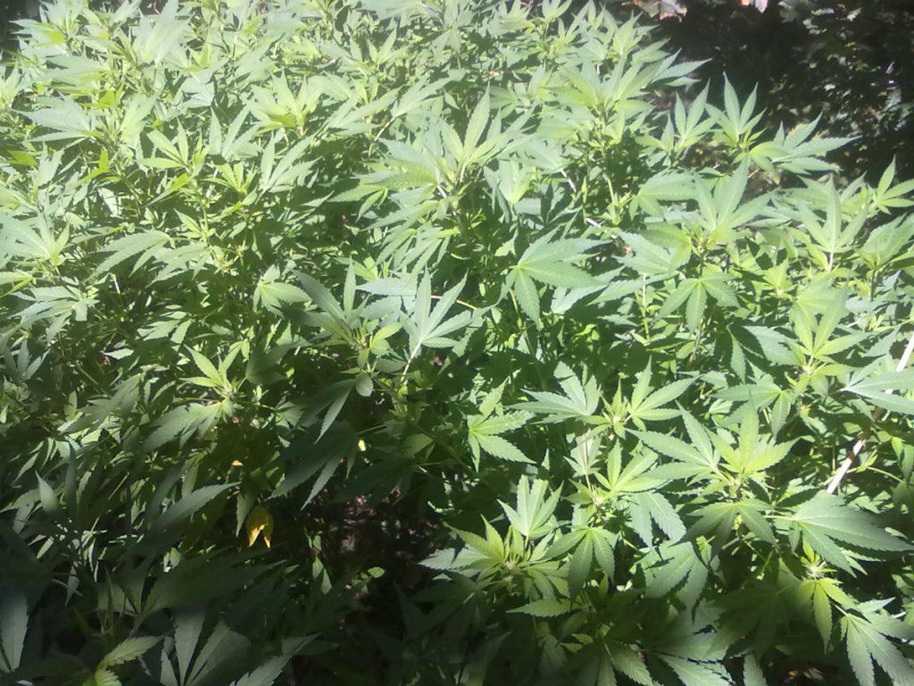 8-25-20122.jpg