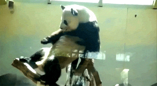 ZyJ7SqJ.gif