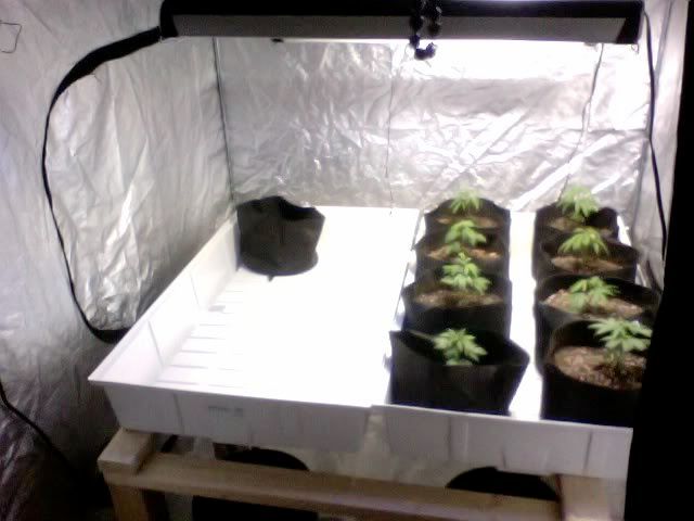Photo40.jpg
