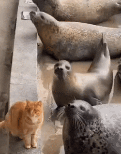 1663605059_13.gif