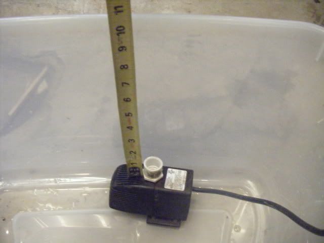 DSCF1685.jpg
