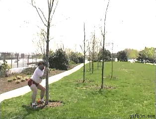 1238512613_guy-humping-a-tree.gif