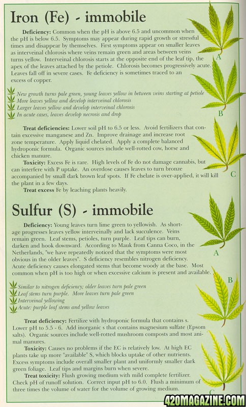 Iron-Sulfur1.jpg