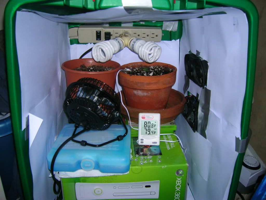 DSCN1317.jpg