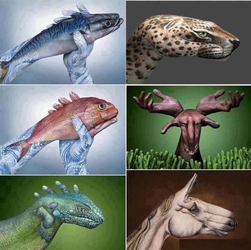 82862704.jpg