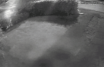 w9OgV.gif