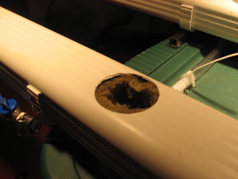 feb201031.jpg