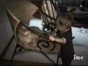 animated141.gif