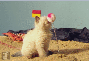 gifs_03.gif