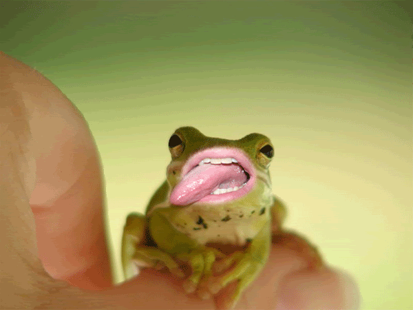 lickher.gif
