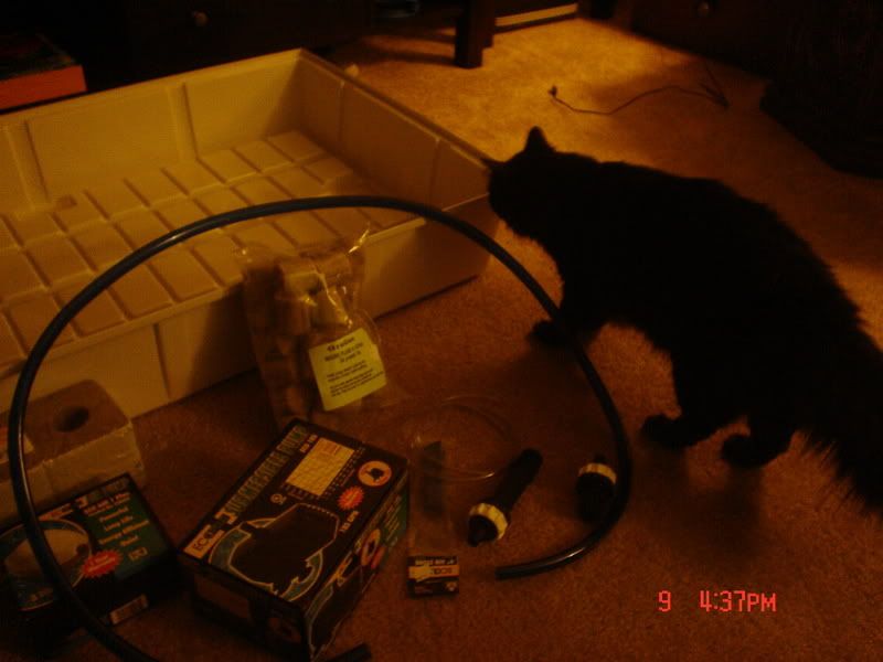 Picture015-1.jpg