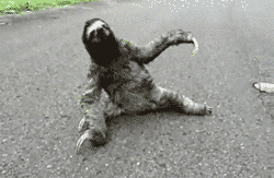 HRojaJX.gif