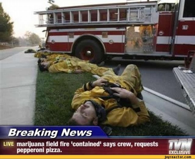 funny-pictures-stoner-humor-auto-fireman-390020.jpeg