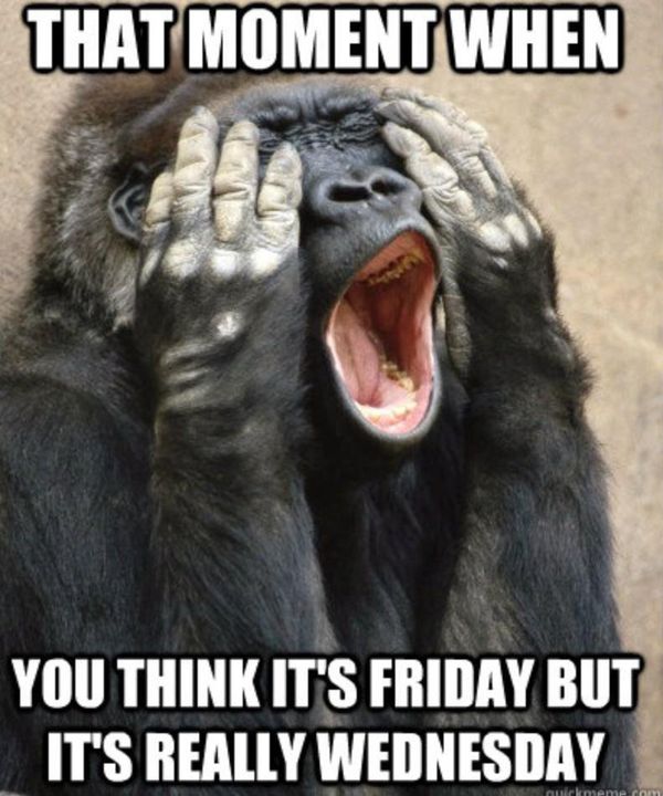 dirty-wednesday-memes-3.jpg