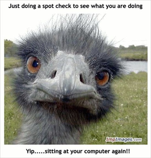 spot_check-img-893.jpg