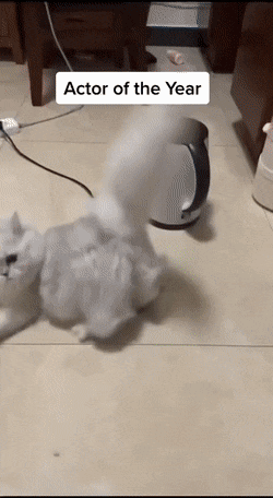 1669126662_10.gif