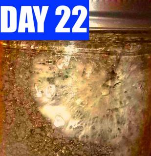 day-22-2.jpg