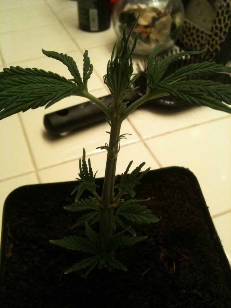 d8e16ecd.jpg