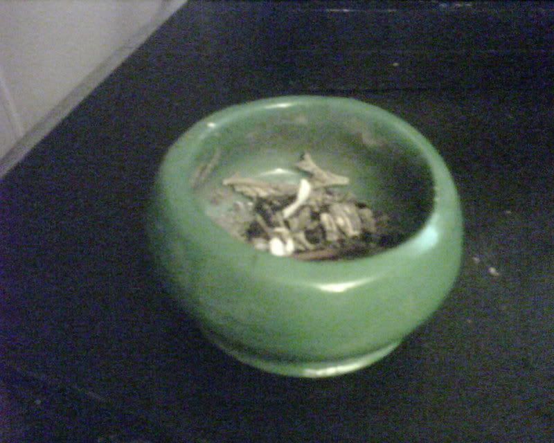 IMG00055.jpg