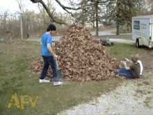 hojas-bellpuig-leaf-pile.gif