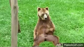nohG9Or.gif