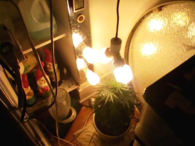 Pic0112jpg-16.jpg