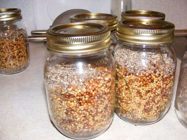 mushroomstuff008.jpg