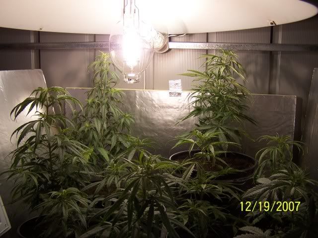 Picture002.jpg