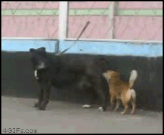 gif_04.gif