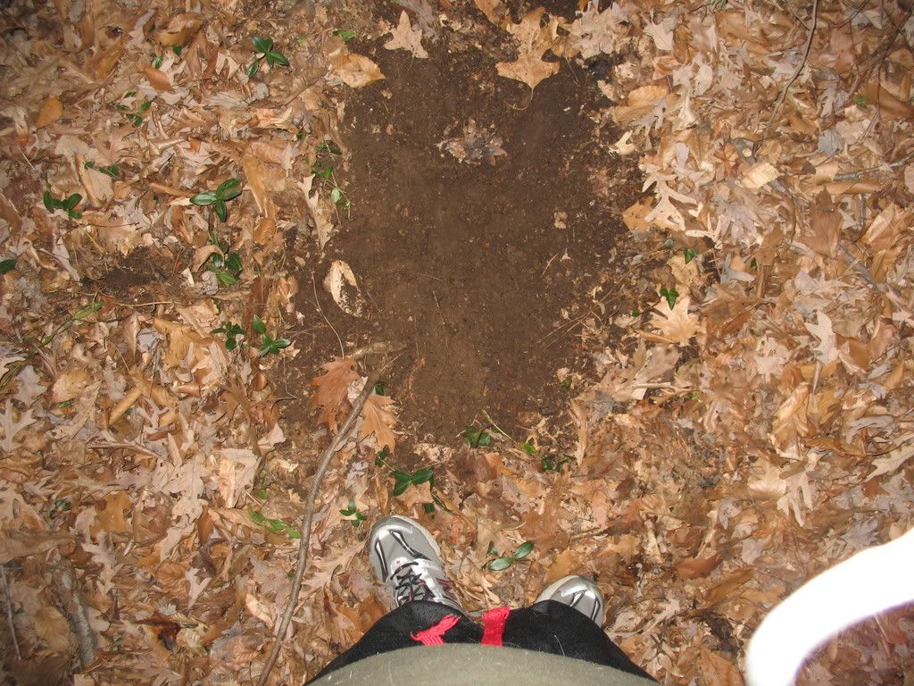 IMG_1101.jpg