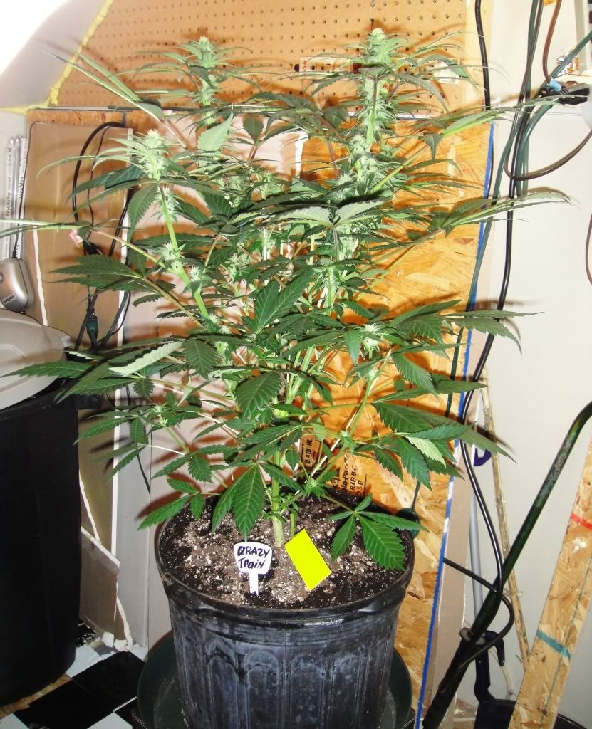 DSC02111.jpg