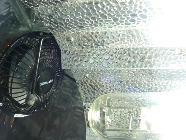 DSC05822.jpg