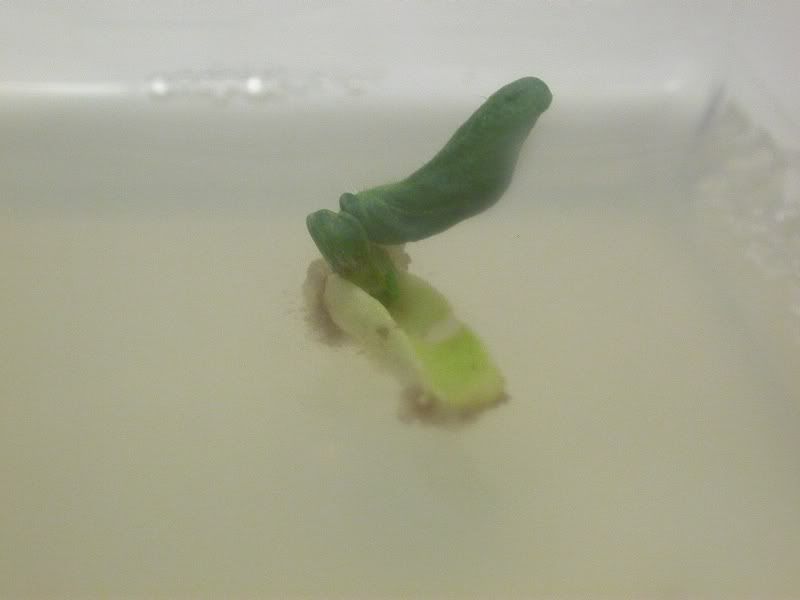 DSCN7943.jpg