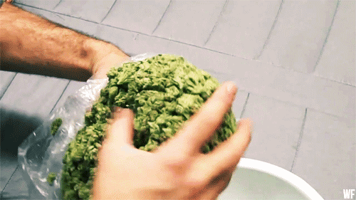 82934522.gif