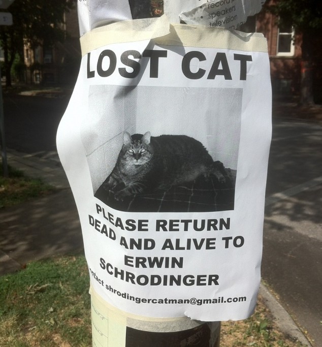 hilarious-street-signs-2.jpeg