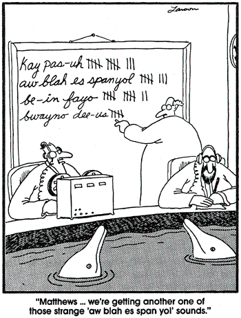 dolphin_cartoon.gif