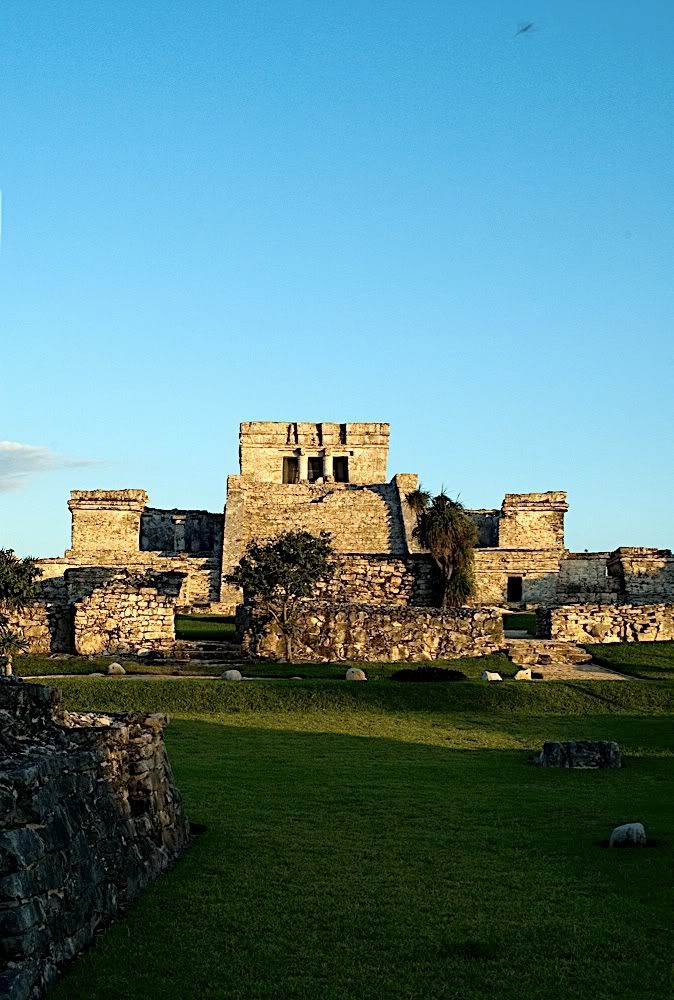 DSC_3984a.jpg