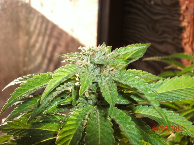GEDC0760.jpg