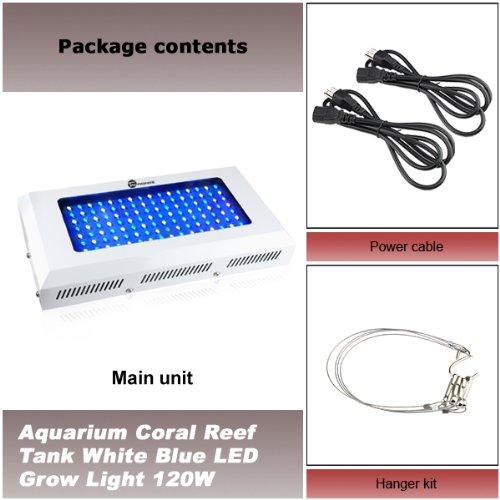 51Uq5g8lbOL.jpg