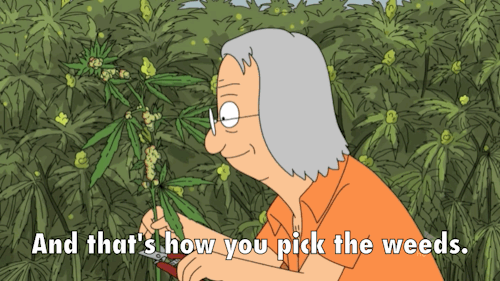 qP6YoHq.gif