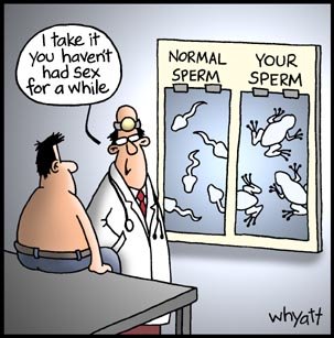 funny+pictures.jpg