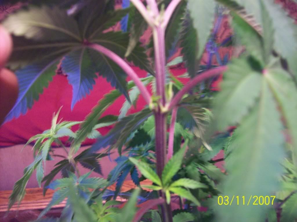 100_8383.jpg