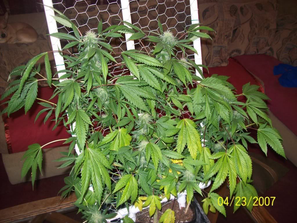 100_8662.jpg