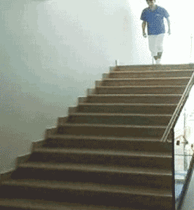Fvgzm.gif