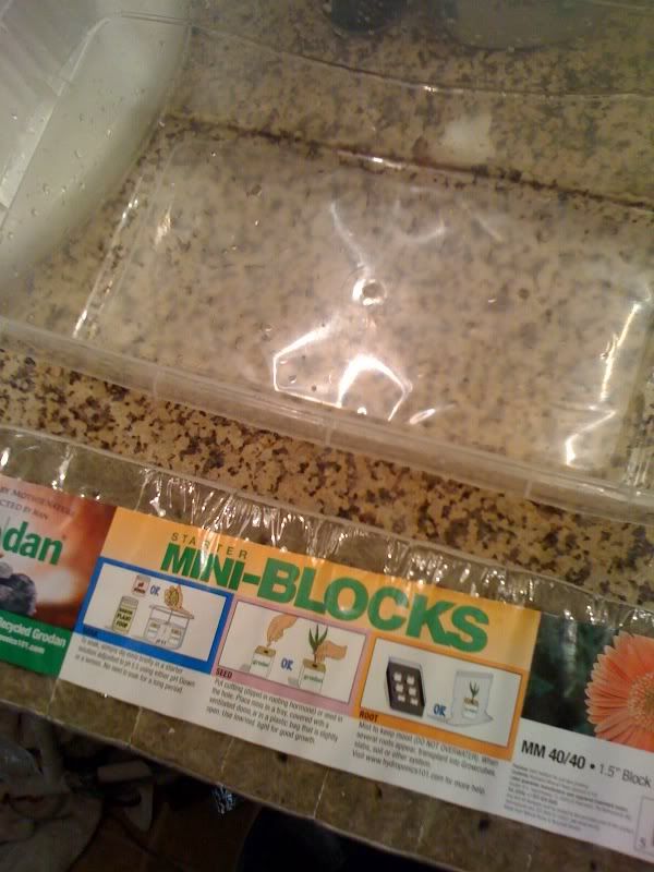 blocks.jpg