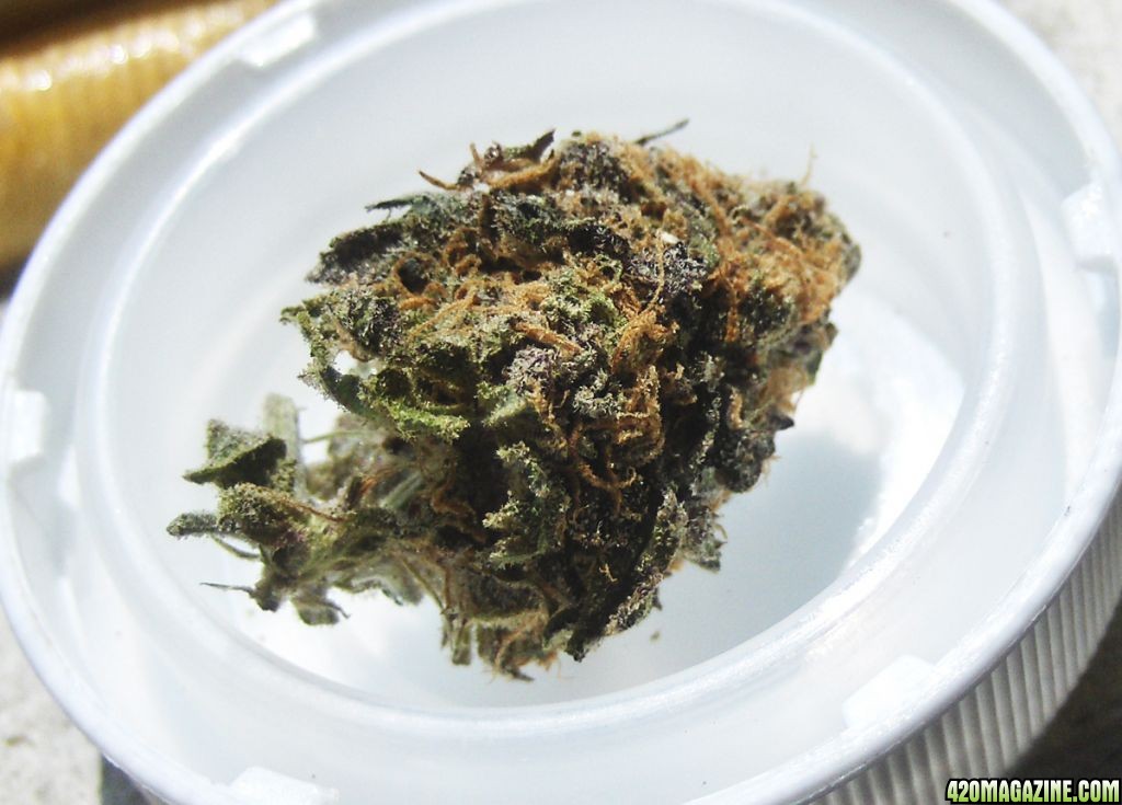 purplekush5.jpg