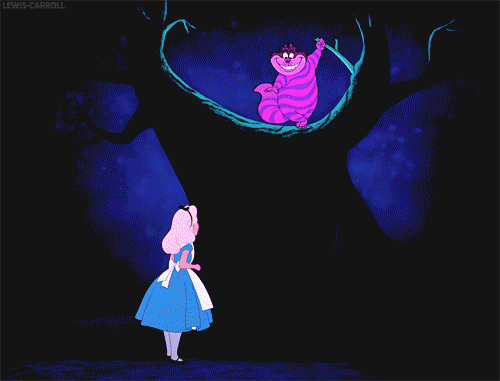 tumblr_n516wynIMw1shtowzo1_500.gif