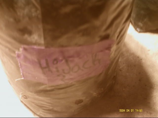 PICT0033.jpg