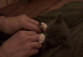 Tickling1.gif
